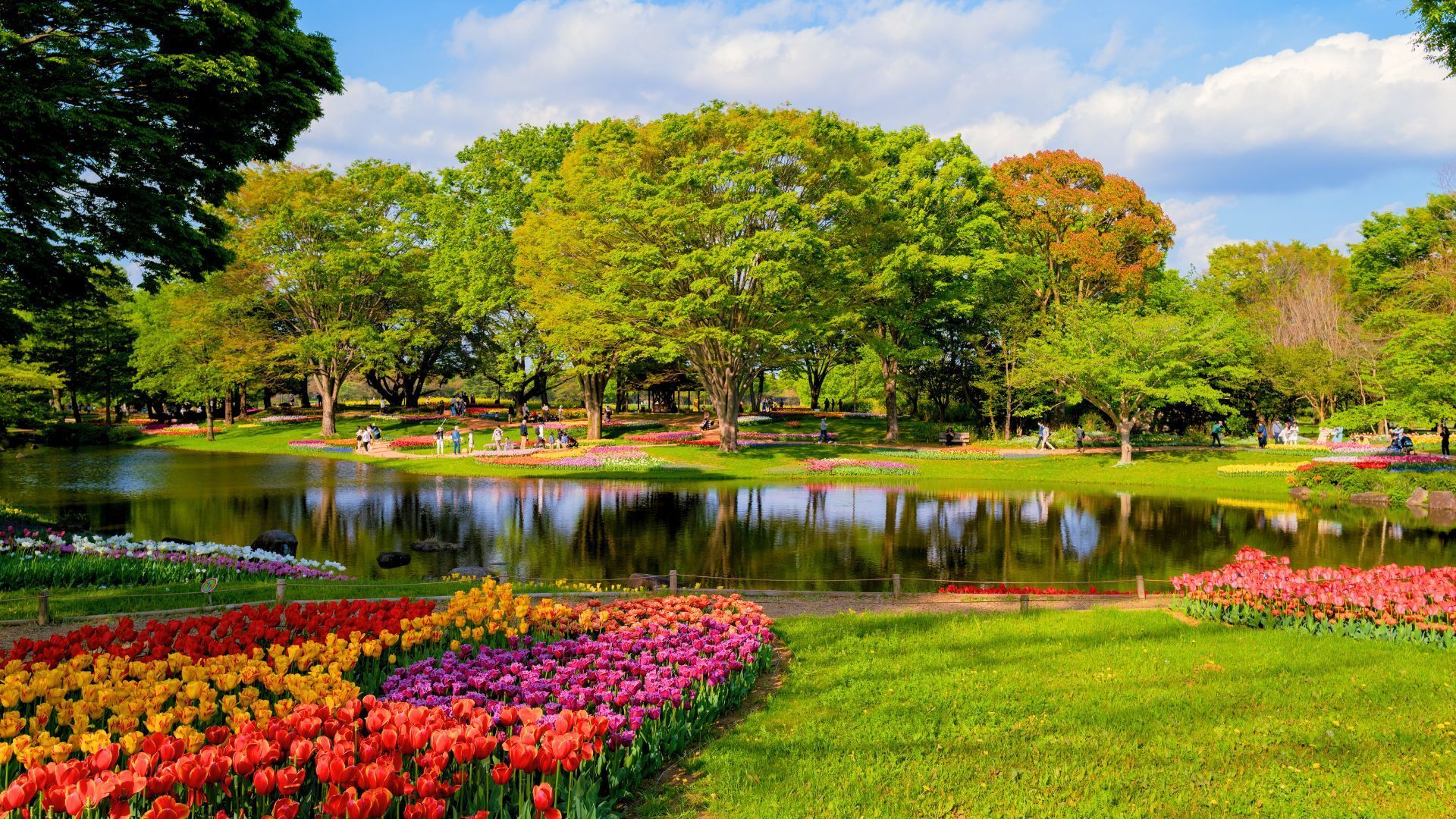 Botanical Garden